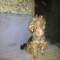 221-p1am6sdo83cl71bd4gsp1fnleb24.jpg