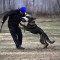 bf0-p1aqubhi5m1h7q2ks6lmat81c1p4.jpg