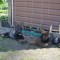 c95-p1bir80cc21ab13dr1cu9l4d1nrj4.jpg