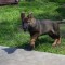 c95-p1bir80cc41rbd6l51vsj13r3jfl9.jpg