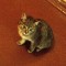 bdd-p1c3t0t97f14v3tha1pmv1sq0ki64.jpg