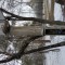 529-p1d8tbdp0jaut1vjcnedm9t118e4.jpg