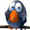 foto_20259.GIF