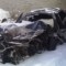 m_a4b5f965.jpg
