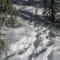 img_2929.jpg