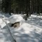 img_2941.jpg