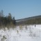 img_2973.jpg
