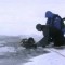 60-летнего водителя иномарки и еще одну пассажирку спасти не удалось. Прибывшие водолазы вытащили тело 49-летней супруги, а главу семьи до сих пор не нашли