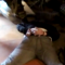 e7061836833f4cbc3a028f1f4c9fc35e-vearkxlkmf-800x600.png