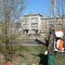 В Ангарске обработали живые изгороди яблони от горностаевой моли