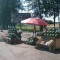 Жалобы на качество ранних овощей и фруктов поступают в основном на продукцию, приобретенную на стихийных рынках