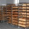188-p19cib32gnrgl1euncs81ei81oo64.jpg