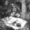 340-p19kr989ia8r7q2s1r1g1gkg19774.gif