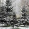 fb3-p1a2c0kifn1gpf61r1lvf1cau1vbg4.jpg