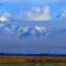 c7c-p1ai4tumatn701qsqj9su4ac8f4.jpg