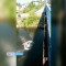 b28-p1ak83bs7f11gh1ocl14e71pjsf7a4.jpg