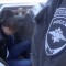 beb-p1asiupubeo2n1qom11j7bb7sv24.jpg