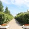 e9d-p1bl0getvrbmp7295km1qug15vf4.jpg