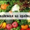 8b3-p1ce2ppo791lgshgf11osoijq24.jpg