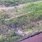 e8e-p1ceakudqf3duvaf19np1pgv1nd44.jpg
