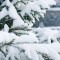 72b-p1csfohat4blqb6v9mr1bqd15f74.jpg