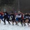 8db-p1d6rp09ad1v011qup1do41d62koc4.jpg