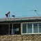 8c5-p1dd62mes42a3gh48i913s131o5.jpg