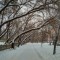 bd5-p1drvioudlots1iaa27t1v0d1evm4.jpg