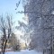 98e-p1dsh38squ6fb1locp4i9h3s4u4.jpg