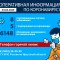 5da-p1e51erbq319nb4a1184n1kjmit54.jpg