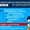 646-p1e776kago1mfphun1lrjsb81kjo4.jpg
