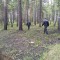 4f0-p1e8mki1pbl3963p67icpo17575.jpg