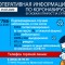 225-p1ec4der1a1dgf19ql1ia9ddg1v9k4.jpg