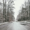 045-p1iaap3pl3125719ukdomv4v1lvl4.png