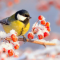 3ce-p1j71t3df8c5uc4v4nh1rvu1n2j4.png