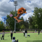 4ef-p1jpufii031e707mvass1qur1p7p6.png