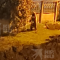 f0e-p1k39pbdrd19lk17minku18rq11875.png