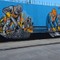 bd1-peo355insefch.jpg