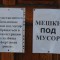 DSC_8468.JPG