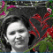 pic.gif