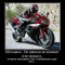 x_849764a9.jpg