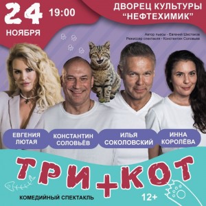 Спектакль «Три плюс кот» 