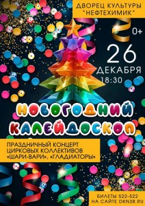 Концерт цирковых коллективов "Новогодний калейдоскоп"