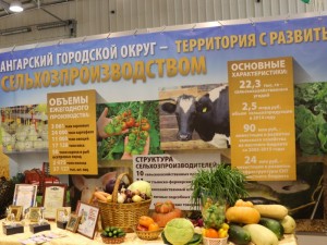 Ярмарка «Настоящий продукт»