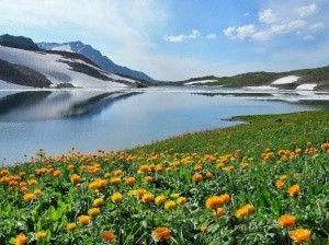 Муниципальная выставка «Байкал глазами ангарчан»