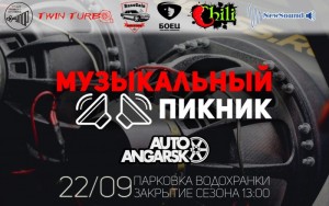 Музыкальный автопикник