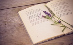 Презентация книги Ирины Поповой (Падалец) "Без кожи"