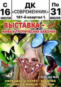 Выставка живых тропических бабочек