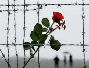 Международный день освобождения узников фашистских концлагерей