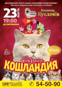 Спектакль с кошками "Страна кошландия"